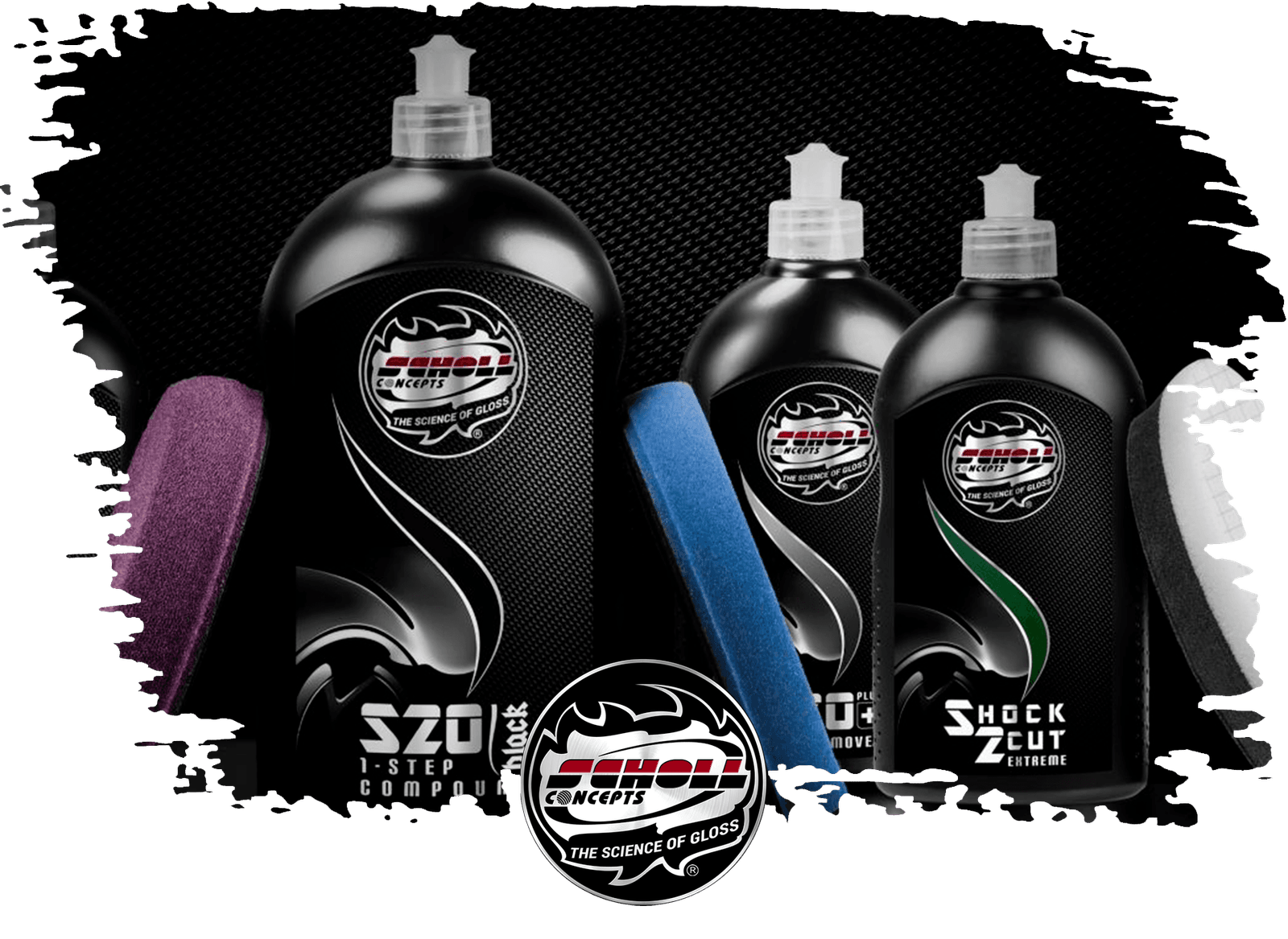 scholl concepts